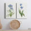 «Lived Botanical I», ensemble de 2 impressions sur toile tendue-467924973