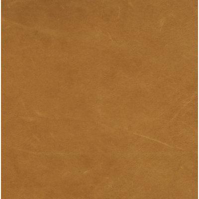 Coachella Tan Sample