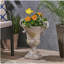 DELPHINE URN