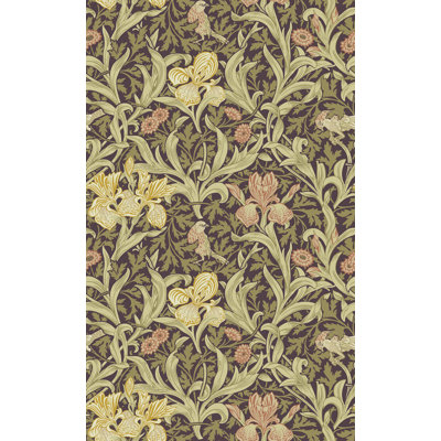 Iris Plum Wild Gardens Wallpaper