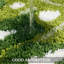 Tapis de bain Leaf