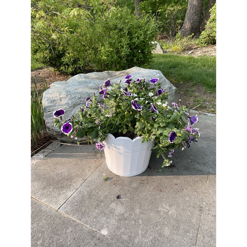 Pot à fleurs en baril Padminie, Blanc, H 9 po x l 10,5 po x P 10,5 po