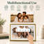  Cadre photo numérique 15,6 "WiFi avec application Frameo, affichage intelligent de photos Full HD à rotation automatique, 32 Go - or-130105183