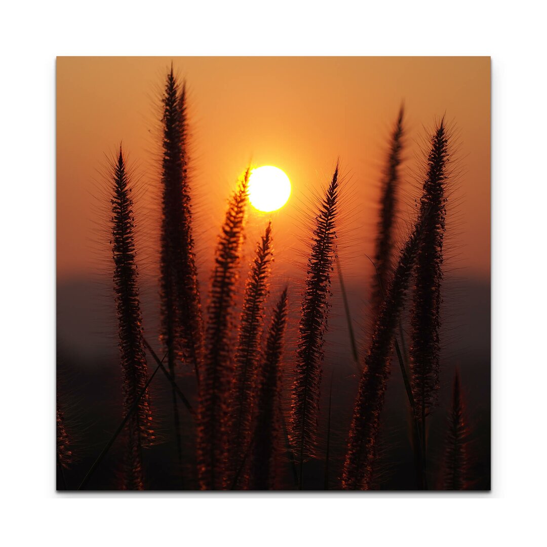 Leinwandbild Grashalme im Sonnenuntergang