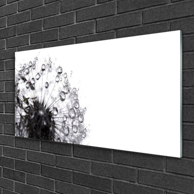 Floral Dandelion - Unframed Photograph on Glass