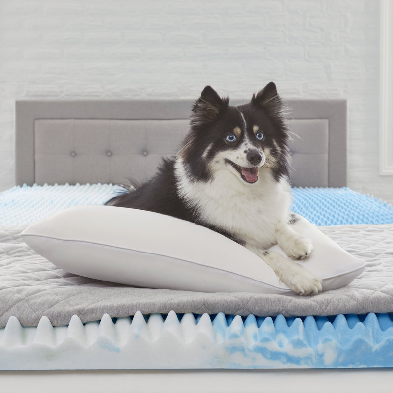 Standard White Memory Foam Bed Pillow with Washable Cover
