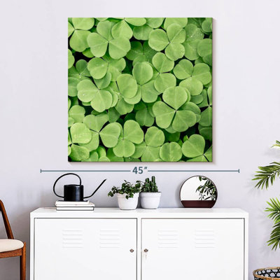 Harnek Patch Of Shamrock
