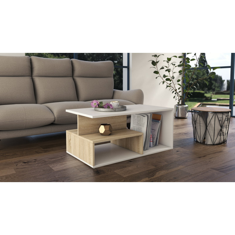 Cheston Floor Shelf Coffee Table with Storage, Sonoma/White