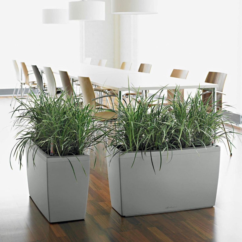 Cararo Pot Planter
