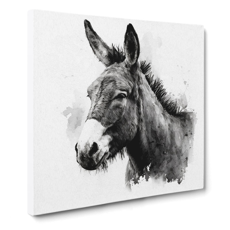 Donkey Ink Wash - Print, 50cm H x 50cm W x 3cm D