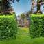 Steel, Plastic Garden Accents Accessories