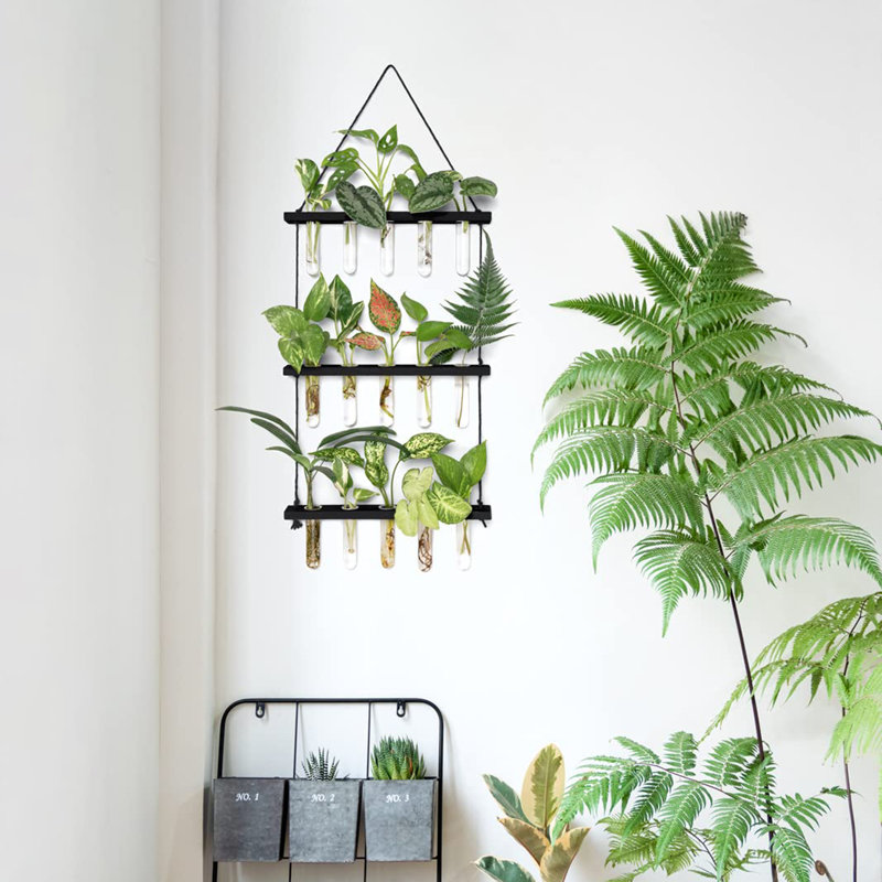 Terrarium mural à 3 niveaux avec support en bois, Noir, noir, noir, noir