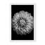 Nature Inspired Marigold by  - Picture Frame Photograph on Paper-81388028-131284511-131284589