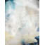 Ivory Blossom Print by James McAllen-25802678-25802680