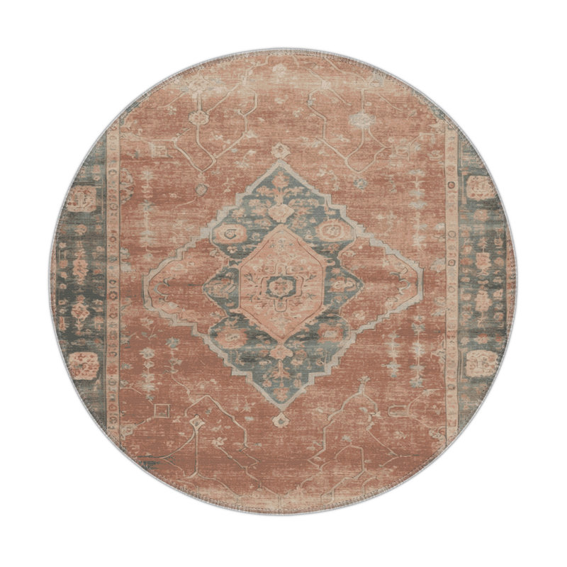 Tapis intérieur et extérieur brun Overdyed, Rond 5 pi