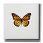 «Papillon jaune 1» par PhotoINC Studio-344091655