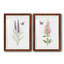 «Wildflower Botanical I», ensemble de 2 reproductions d'art-808463890-923653548-923653540