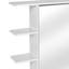 Wall Bathroom Cabinet