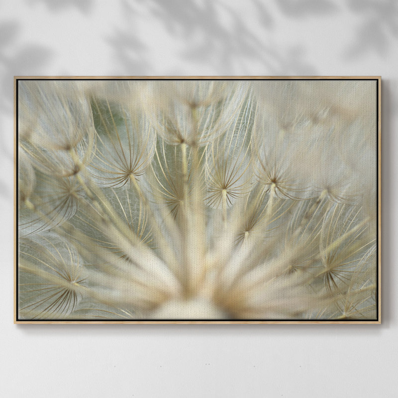 " Macro Dandelion IV ", Natural , 17" H x 25" W x 2" D