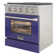 Pro-Style 30 in. 4.2 cu. ft. 4-Burner Freestanding Gas Range with Convection Oven