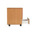 Buariki 40.4cm Wide 3 -Drawer Mobile File Cabinet-14605938