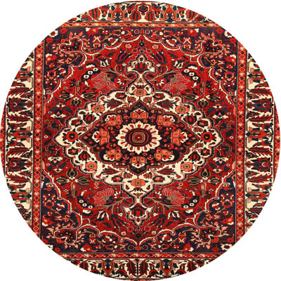 Oriental Indoor Rug