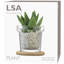 Round Glass Planter