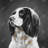 English springer spaniel dog - 32"x32" art on canvas