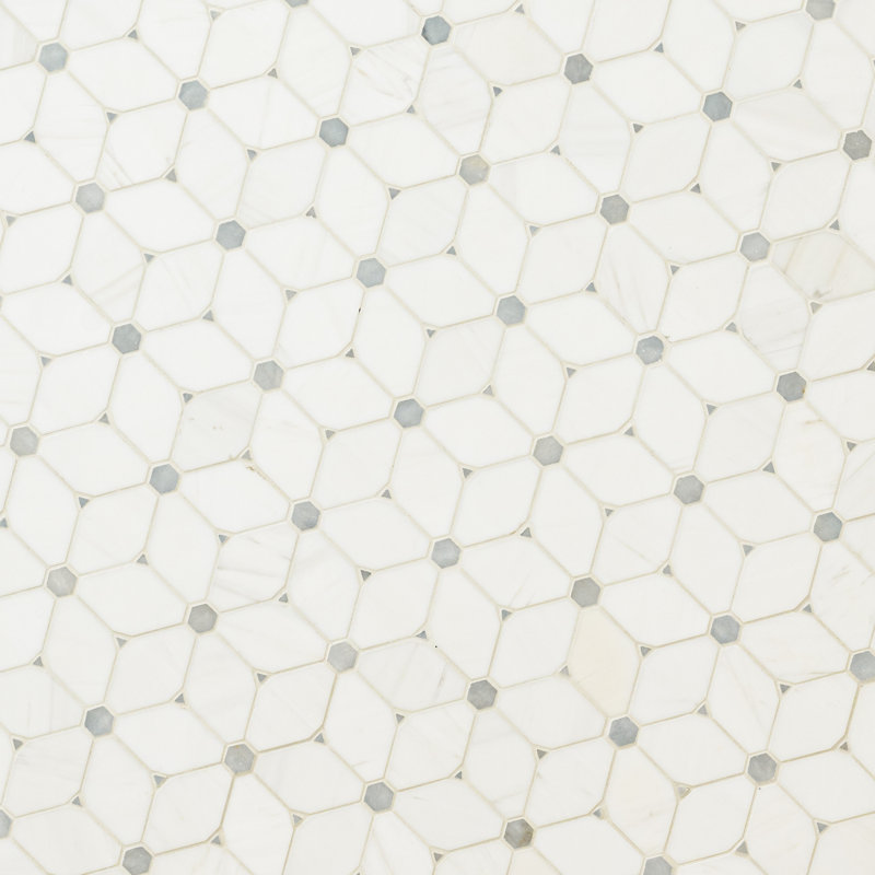 11 in. x 13 in. Polished Marble Mosaic Floor and Wall Tile, Lucera Abri