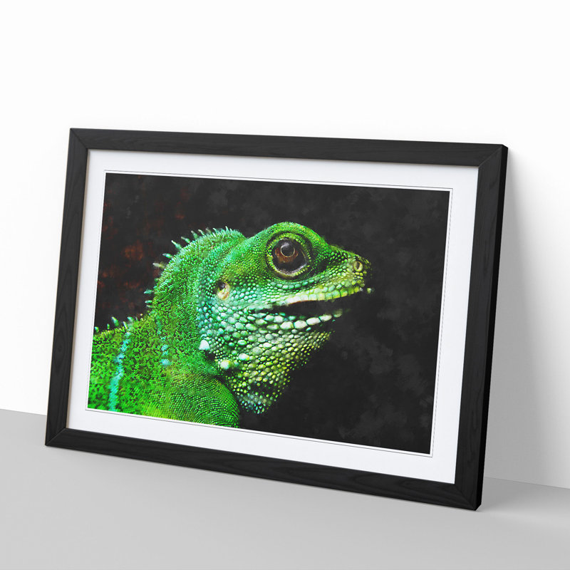 Iguana Lizard - Picture Frame Graphic Art, 27cm H x 36cm W x 2cm D, Black Framed