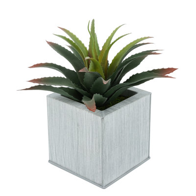 Plante grasse artificielle 7 po en pot