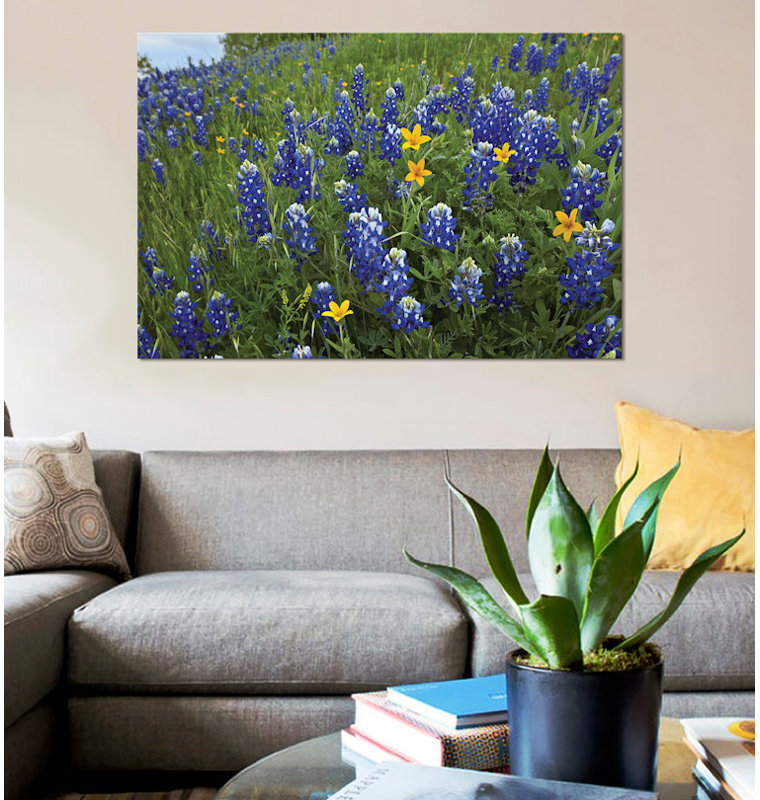 «Bluebonnet and Texas Yellowstar Meadow, Cedar Hill State Park, Texas» par Tim Fitzharris, reproduction sur toile tendue sur châssis