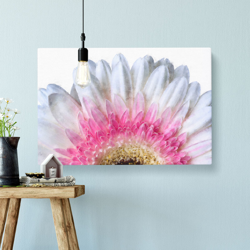 Petals Of A Pink And White Gerbera - Wrapped Canvas, 35cm H x 50cm W x 3cm D
