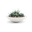 Jardinière en béton peu profond Oceanside-935299279-935299313