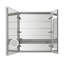 Royale 30" W x 36" H x 5" D Medicine Cabinet Defogger, 3X Vertically Adjustable Magnifying Mirror, Electrical Outlets.