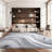Priam Performance Abstract Rug-1040554527