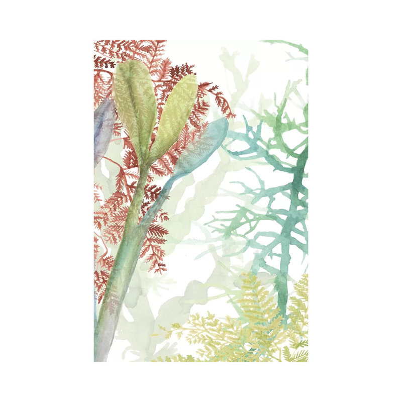 Woven Sea Plants II by Naomi McCavitt - Wrapped Canvas Print, 30.48cm H x 20.32cm W x 1.91cm D