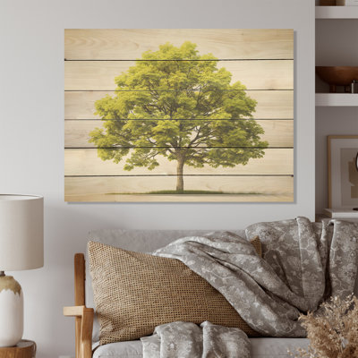 «American Tree Basswood Elegance I», art du bois de tilleul américain sur bois de pin naturel