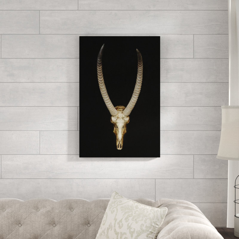 «Skull and Bones III» par Nash Rambler - impression, H 60 po x l 40 po x P 1,5 po, Couche de verre