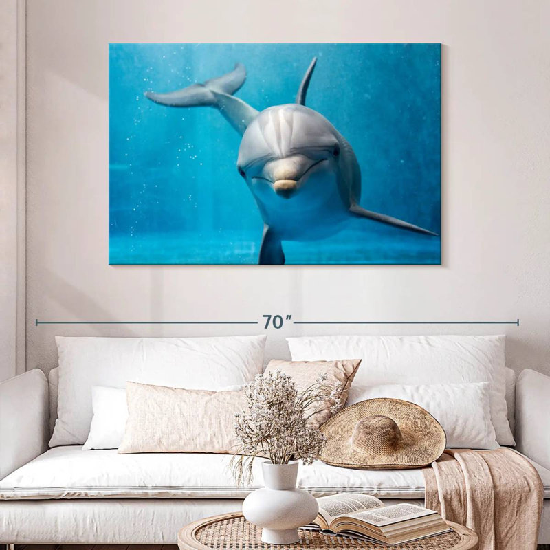 Brampt Friendly Dolphin, 32" H x 48" W