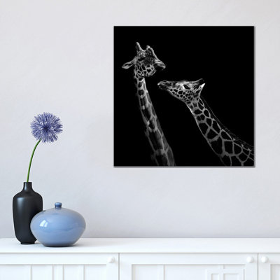 Two Giraffes In Black And White by Lukas Holas - Wrapped Canvas Print