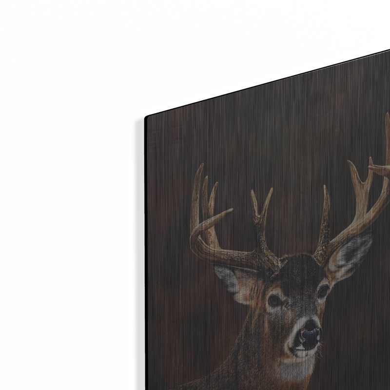  «White Tailed 12 Point Buck» par Jim Brune, art mural en métal, 12 po x 16 po, H 16 po x l 12 po