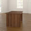 Buariki Synthetic Laminate Desk-16413277-30818520
