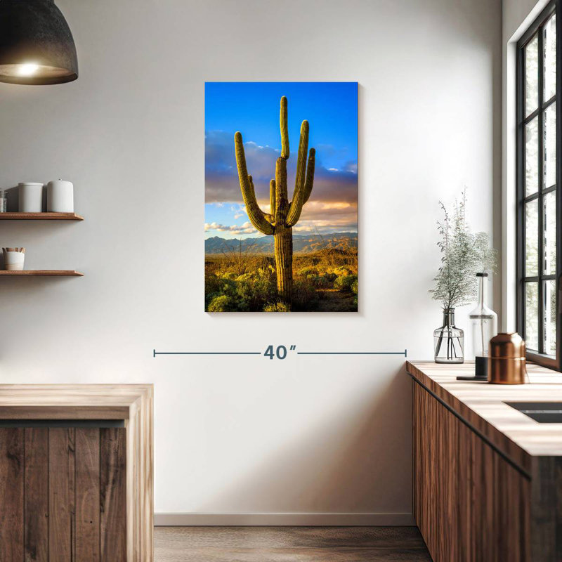 Parc national Harnek Saguaro Est III, H 36 po x l 24 po
