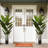 Indoor/Outdoor/Décor Artificial Tree UV Resistant Faux Palm Tree Plant in Pot in Basket in Planter
