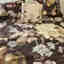 Photos des clients 1 de 1