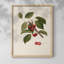 sur papier-123837201-123837200