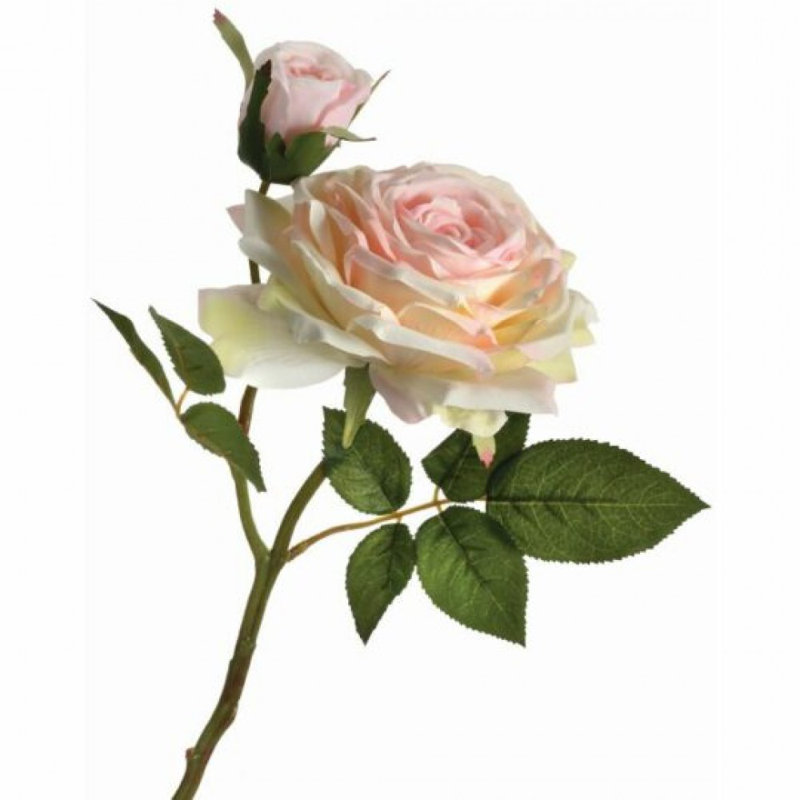 Rose ouverte avec des fleurs artificielles, Crème rose