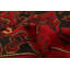 Tapis rouge Teimani 3 pi 4 po x 6 pi 8 po