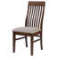 Chaise d'appoint Carney (ensemble de 2)